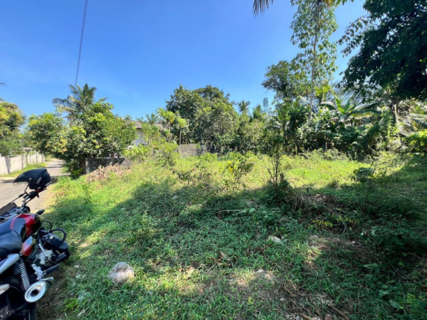 perch-11-land-for-sale-in-homagama-big-1