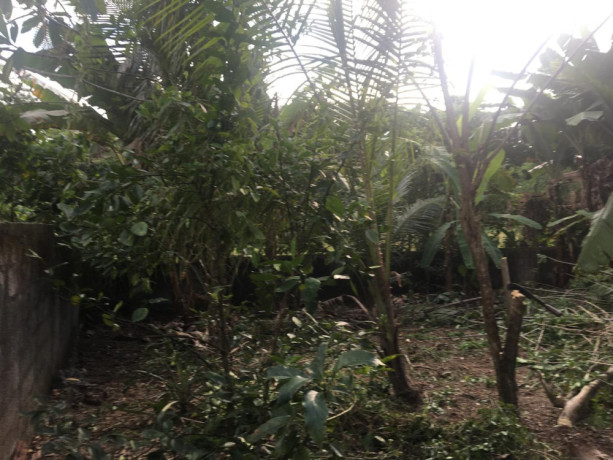 land-for-sale-in-kadawatha-big-3