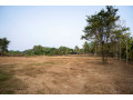 perch-500-land-for-sale-in-ranna-hambantota-small-4