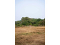 perch-500-land-for-sale-in-ranna-hambantota-small-3