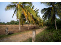 perch-500-land-for-sale-in-ranna-hambantota-small-0