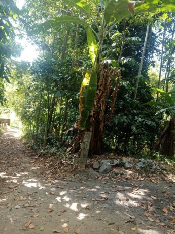 perch-24-land-for-sale-in-katugasthota-big-1