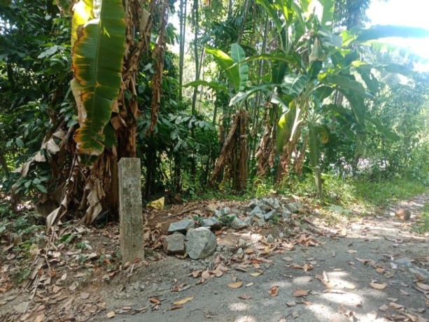 perch-24-land-for-sale-in-katugasthota-big-0
