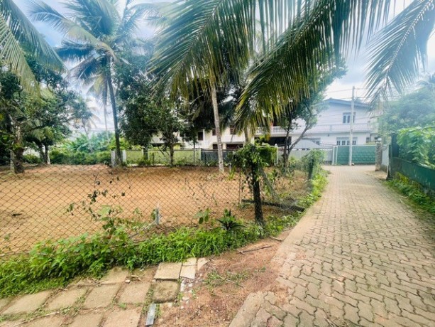 3-lands-for-sale-in-mahara-kadawatha-big-2