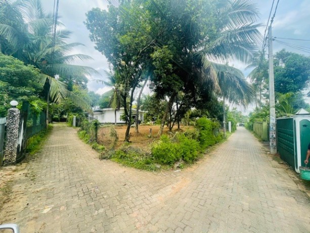 3-lands-for-sale-in-mahara-kadawatha-big-1