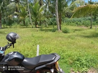 perch-15-land-for-sale-in-gampaha