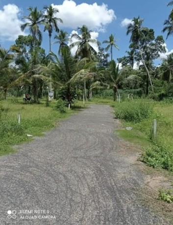 perch-15-land-for-sale-in-gampaha-big-1