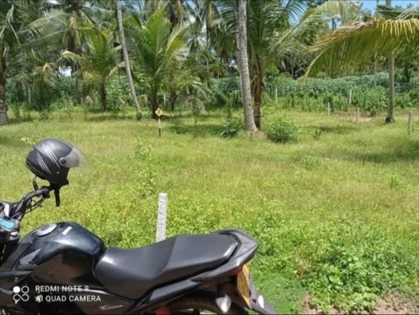 perch-15-land-for-sale-in-gampaha-big-0