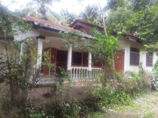 land-for-sale-kurunagala-kiriwawula