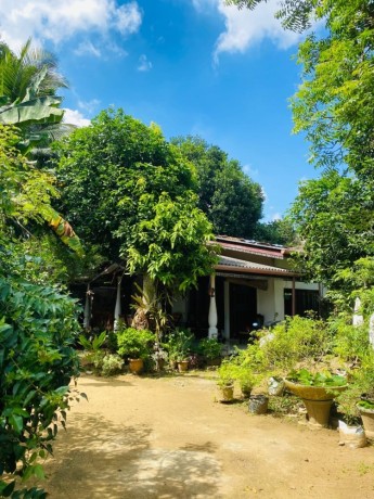 house-for-sale-in-kelaniya-big-2