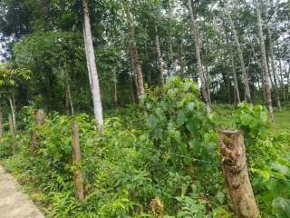 per-938-rubber-land-for-sale-in-horana