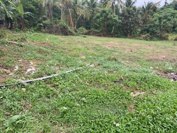 perch-50-land-for-sale-in-meegoda-big-2