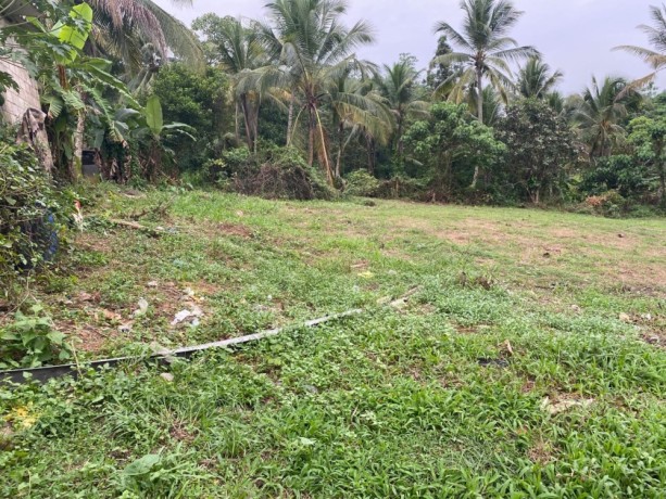 perch-50-land-for-sale-in-meegoda-big-3