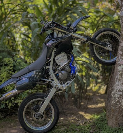suzuki-sb-tracker-250-d2-big-2
