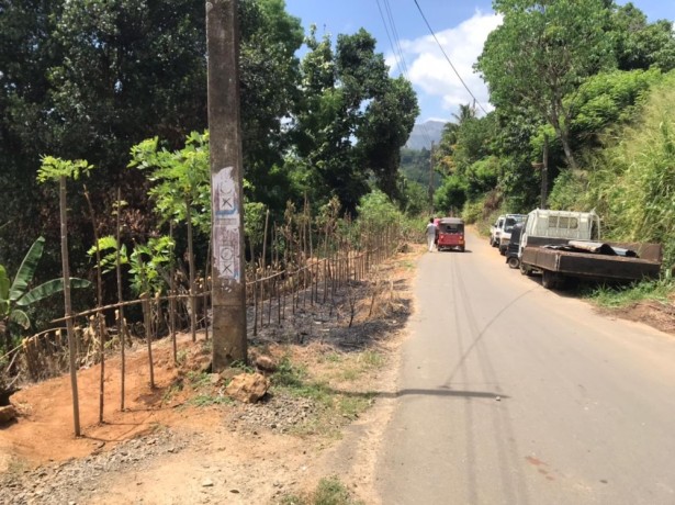 perch-20-land-for-sale-in-kandy-big-1