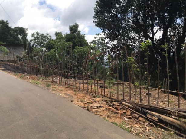 perch-20-land-for-sale-in-kandy-big-3