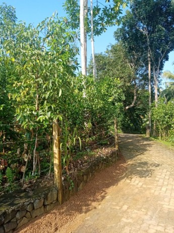 perch-110-land-with-house-for-sale-in-galle-big-1