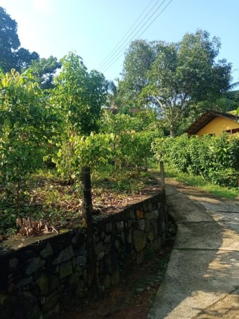 perch-110-land-with-house-for-sale-in-galle-big-3