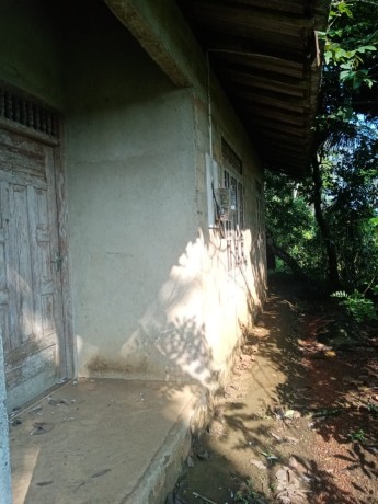 perch-110-land-with-house-for-sale-in-galle-big-4
