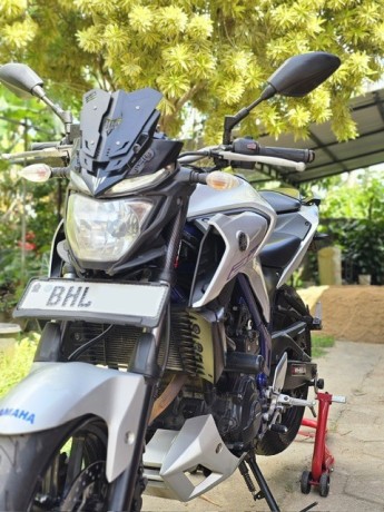 yamaha-mt25-registered-big-3