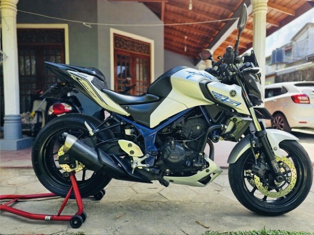yamaha-mt25-registered-big-4