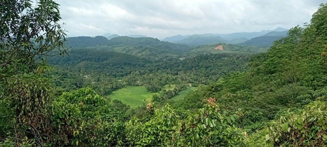 10-acres-cinnamon-land-for-sale-in-kegalle-big-0