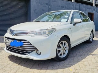 toyota-axio-hybrid-2016