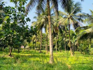 24-acres-land-for-sale-in-hanwella
