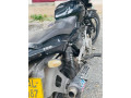 bajaj-pulsar-150-2013-small-2