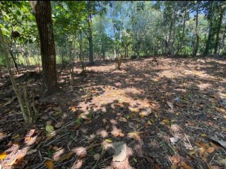 perch-36-land-for-sale-in-kandy