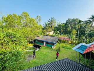 perch-60-land-for-sale-in-bentara