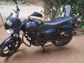 bajaj-discover-135-small-1