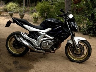 suzuki-sfv-400-2010