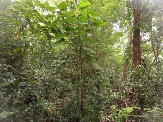 45-acres-land-for-sale-in-kurunegala