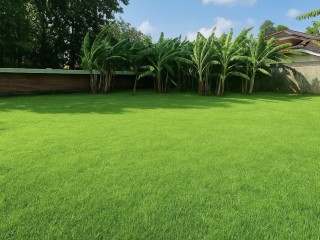 land-for-sale-in-kotte