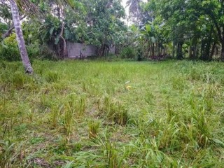 perch-15-land-for-sale-in-gampaha