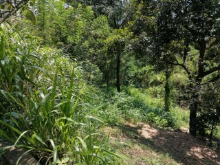 4-acres-land-for-sale-in-kandy