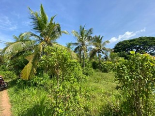 perch-125-land-for-sale-in-dambulla