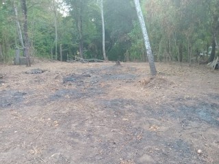 perch-49-land-for-sale-in-wellawaya-town