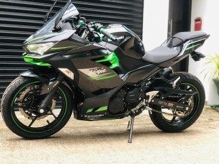 kawasaki-ninja-250-2024