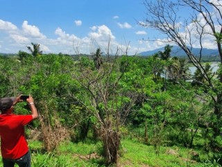 land-for-sale-in-kandy