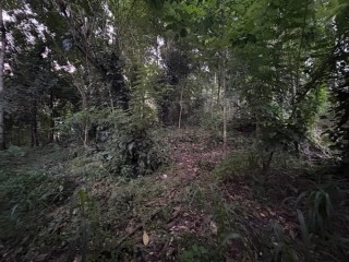 perch-10-land-for-sale-in-mahanuwara