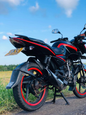 pulsar-135-2010-big-2