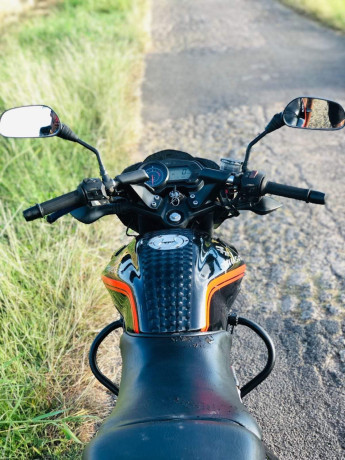 pulsar-135-2010-big-1