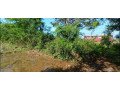 40-perch-land-for-sale-in-weerawila-small-2