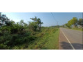 40-perch-land-for-sale-in-weerawila-small-3