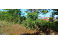 40-perch-land-for-sale-in-weerawila-small-2