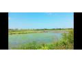 40-perch-land-for-sale-in-weerawila-small-1