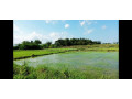 40-perch-land-for-sale-in-weerawila-small-0